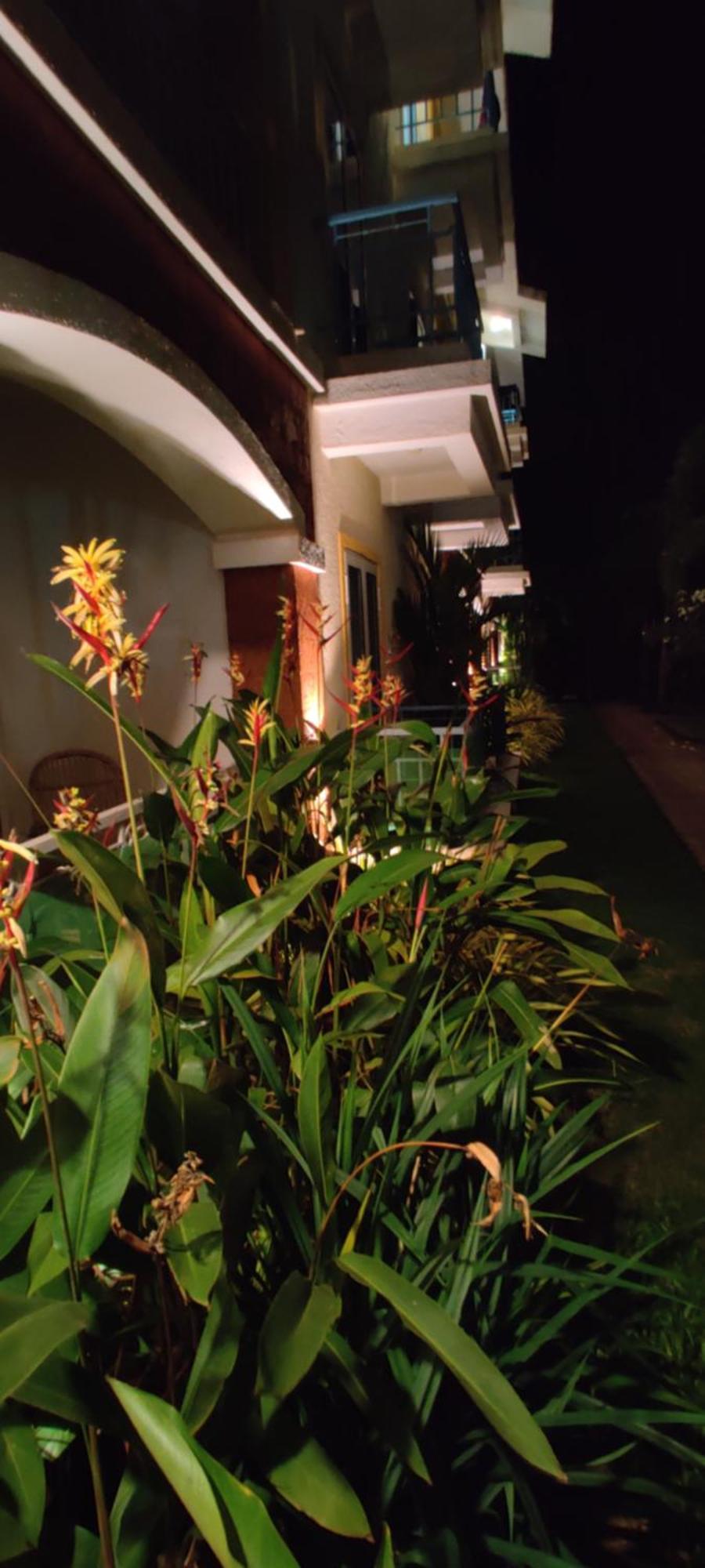 Passions De Goa Hotell Anjuna Eksteriør bilde